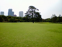 東御苑2.jpg