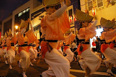KAGU03.jpg