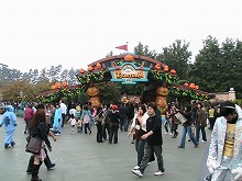 d01.jpg