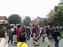 d02.jpg