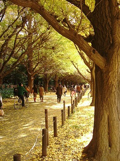 meiji02.jpg
