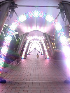 rakua01.jpg