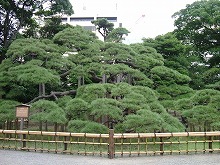 rikyu03.jpg