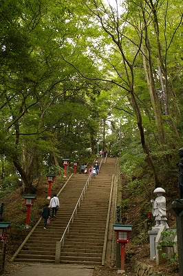 takao01.jpg