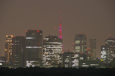 tower.jpg