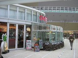 toyosu06.jpg