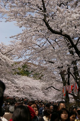 ueno01.jpg