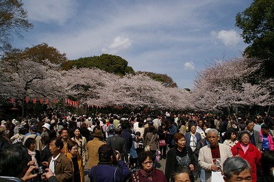 ueno02.jpg