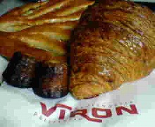 viron1.jpg