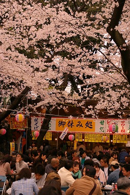 yasu004.jpg