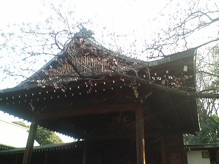 yasukuni.jpg